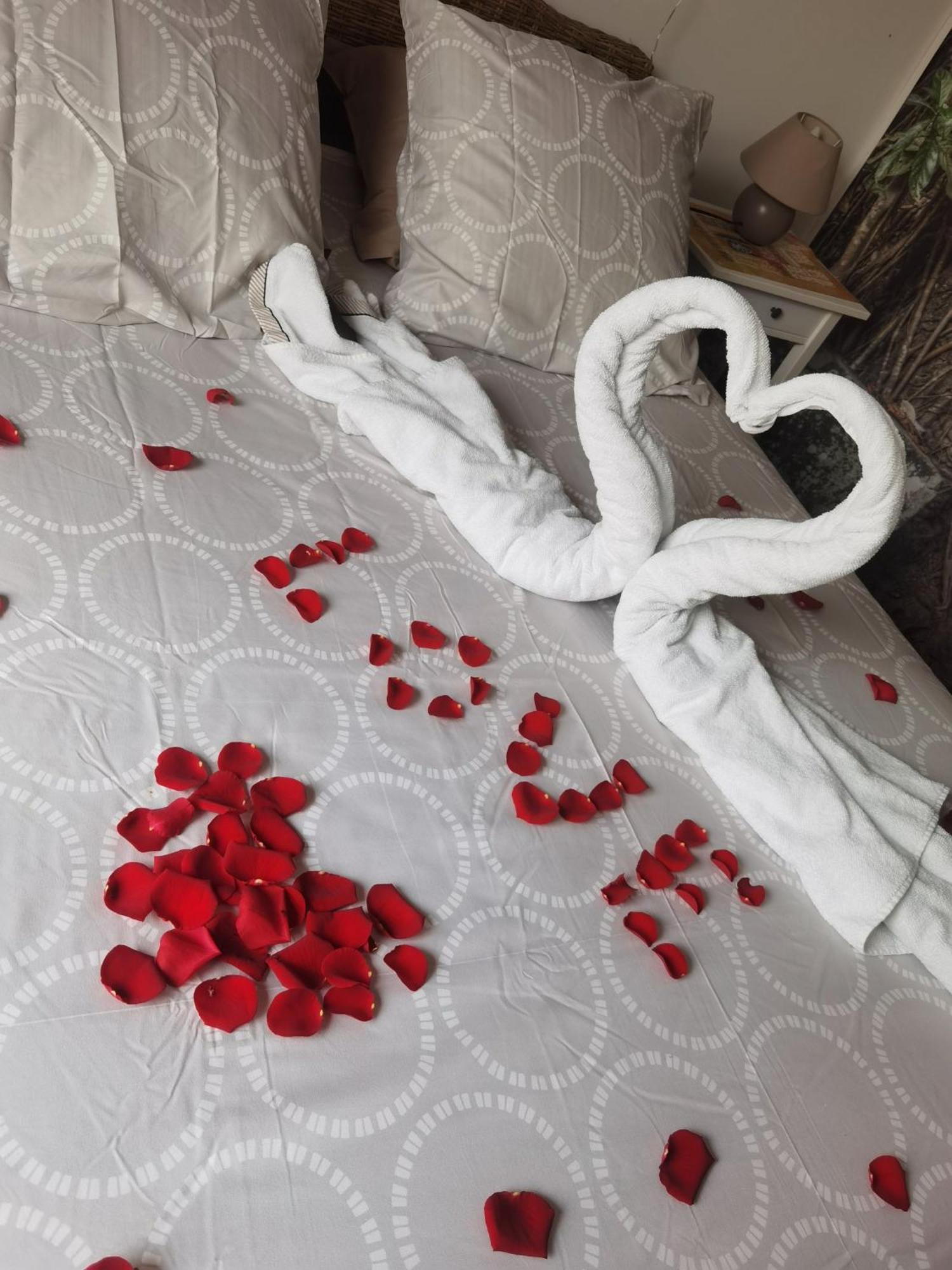 Gites N Spa Tourcoing Phòng bức ảnh